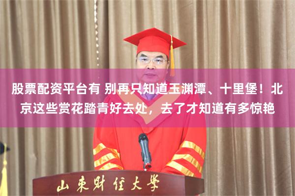 股票配资平台有 别再只知道玉渊潭、十里堡！北京这些赏花踏青好去处，去了才知道有多惊艳