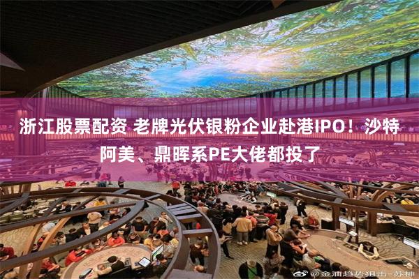 浙江股票配资 老牌光伏银粉企业赴港IPO！沙特阿美、鼎晖系PE大佬都投了