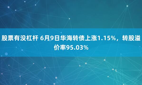 股票有没杠杆 6月9日华海转债上涨1.15%，转股溢价率95.03%