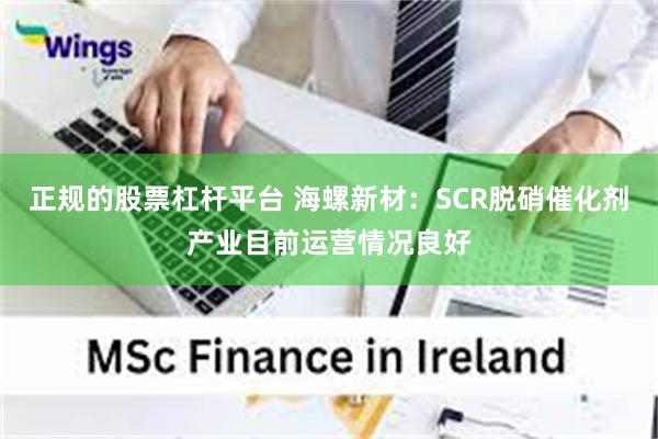 正规的股票杠杆平台 海螺新材：SCR脱硝催化剂产业目前运营情况良好