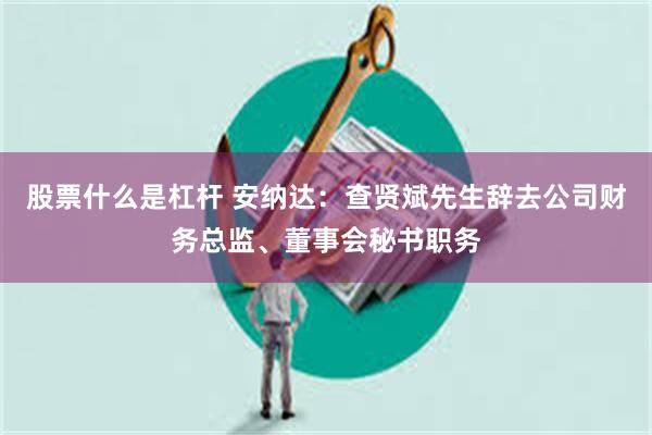 股票什么是杠杆 安纳达：查贤斌先生辞去公司财务总监、董事会秘书职务