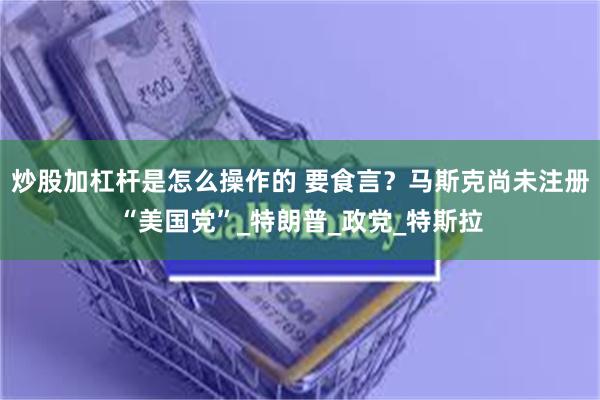 炒股加杠杆是怎么操作的 要食言？马斯克尚未注册“美国党”_特朗普_政党_特斯拉