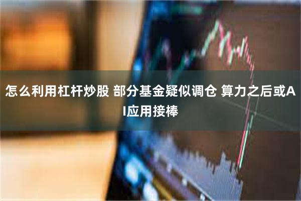 怎么利用杠杆炒股 部分基金疑似调仓 算力之后或AI应用接棒
